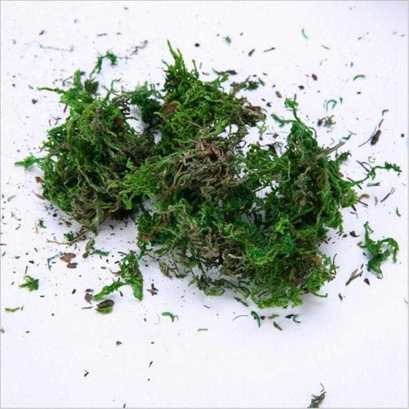 50/100/500g Artificial Moss Simulation Fake Green Plant Landscape Decorative DIY