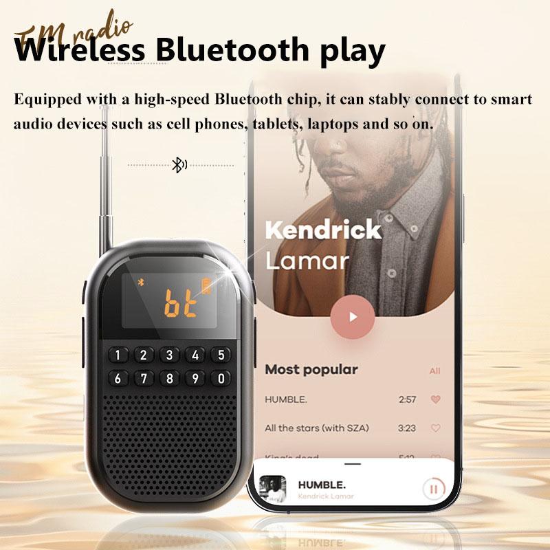 Mini Pocket FM AM Radio Large LCD Display DSP Radios Receiver Wireless Bluetooth Speaker TF Card Music Player for Elder 9K/10K