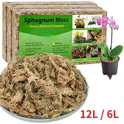 12 l / 6 l rašeliník na rastliny, rašeliník na orchidey sušený mach vstavačový, pôdna rašelina pre orchidey Zalievacia zmes Pôdny mach pre rastliny v črepníkoch