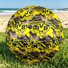 Borussia Dortmund Print Size 5 Soccer Ball, PU Wear Resistant Football for Match Training and Daily Practice, Birthday Gift for Soccer Fans