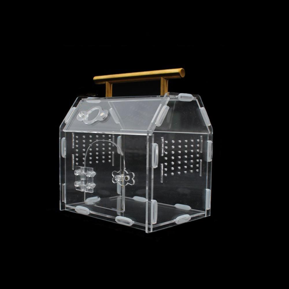 Magnetic Snap Closure Reptile Breeding Box Acrylic Spider Observation Box  Observation 6.30x4.72x5.91 in