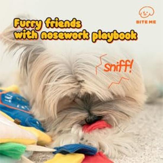 BITE ME Nosework Playbook Laundry Day