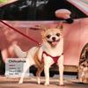 Weiches Echts Leder Hundegeschirr Leinen Set Kleine Mittlere Hunde Katzen Geschirr Weste Für Chihuahua Französische Bulldogge Laufen Training