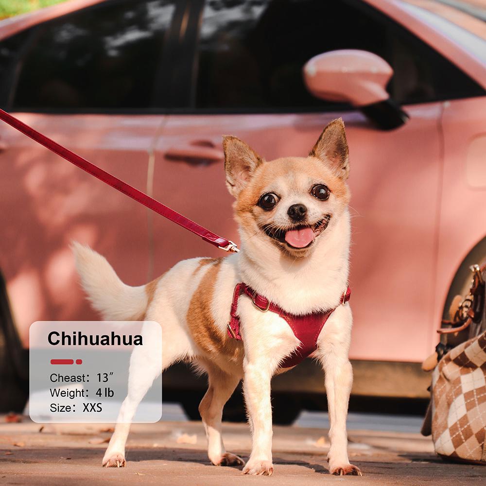 Weiches Echts Leder Hundegeschirr Leinen Set Kleine Mittlere Hunde Katzen Geschirr Weste Für Chihuahua Französische Bulldogge Laufen Training