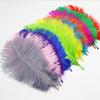 10Pcs Natural Dyed Fluffy Soft Ostrich Feather Handmade Diy Embroidery Feather Jewelry Making Dress Wedding Dress