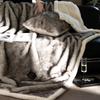 Luxury Faux Fox Fur Blanket: Thick, Warm Raschel Cover for Autumn/Winter, Perfect for Sofa or Air Conditioning Use.