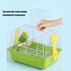 Vogeltrageboxen mit herausnehmbarem Bodenrost für Conure Finken Outdoor-Aktivitäten Draht Vogelkäfig