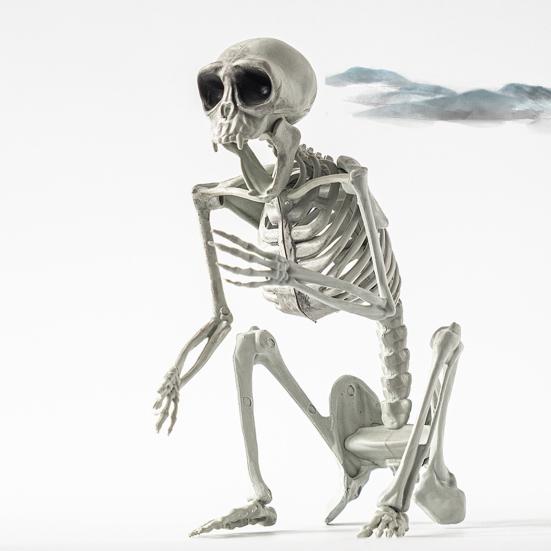 Halloween Skeleton Animal Decoration Creepy Cat/Dog/Bird/Rat/Goat Head Plastic Bones for Courtyard Graveyard Halloween Decor
