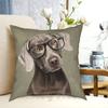 Meneer Weimaraner Kussensloop Bedrukt Huis Zacht Sierkussen Huisdier Hond Schattige Weimaraner Weimaraner Kunst Franse Weimaraner