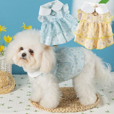 Kleding en schoenen – Jurken voor honden