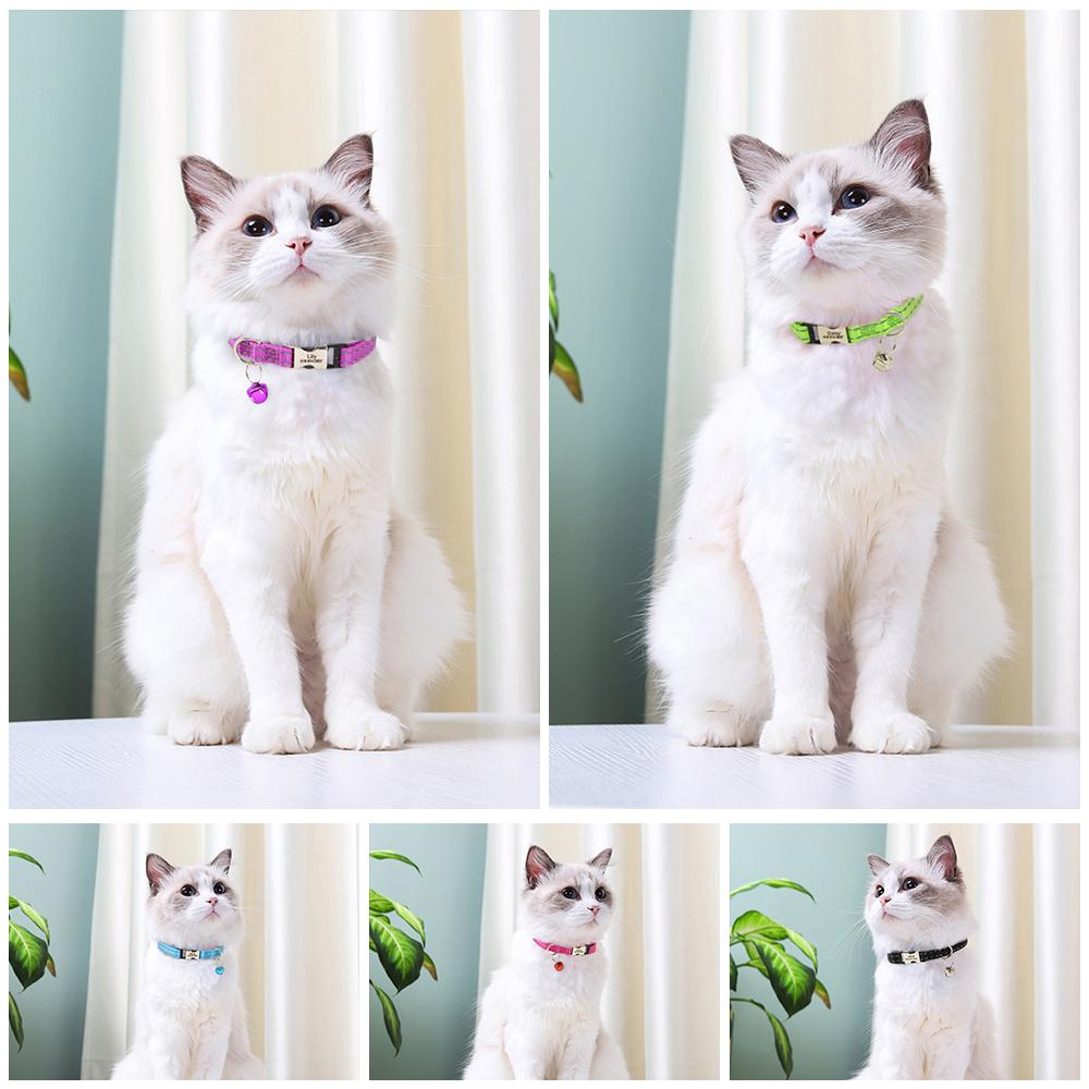 Collare per gatti personalizzato Collare per cani in nylon riflettente Collari identificativi con campana Incisione gratuita per gatti Cani di piccola taglia Chihuahua 10 colori