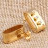 Wild New Gold Inlaid Zircon Titanium Steel Earrings Female Crystal from Austrian Fasion Jewelry Fit Women For Party