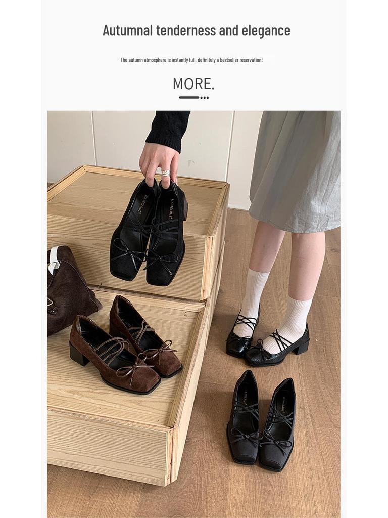 Women's 2025 Chunky Heel Mary Jane Shoes - French Square Toe, Pig Mouth Design, Spring/Autumn