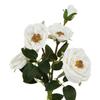 Hill Interiors The Natural Garden Collection Hedge Rose Artificial Flower
