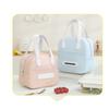 Insulated Lunch Bag Portable Small Size Handheld Bento Box Carrier Cooler Bag for Students and Office Use with Durable Handles and Zipper Closure