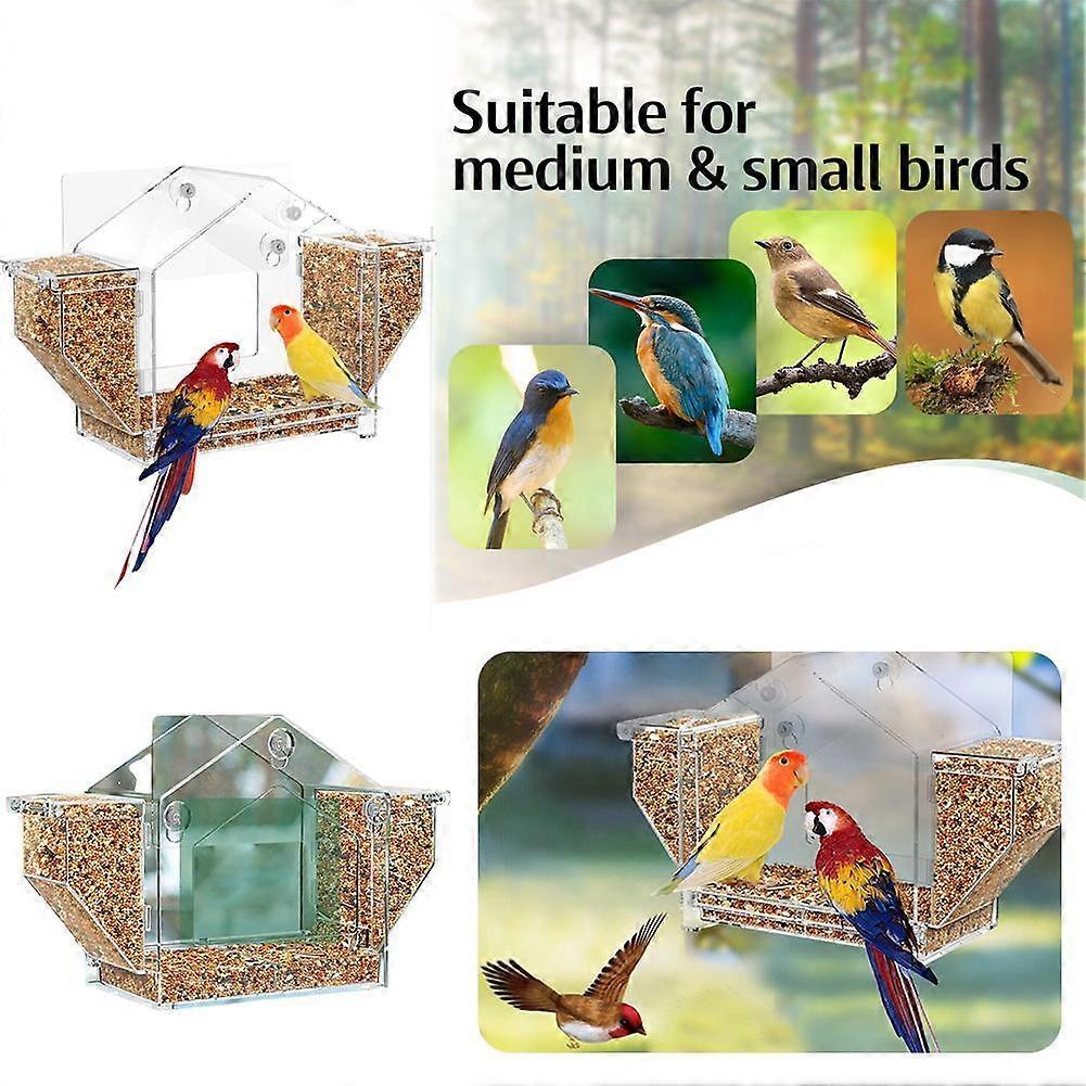 Window Bird Feeder, the Latest Transparent Window Bird Feeder In 2025