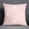 Pink Fresh Collection Pillow Gift Home Office Decoration  Bedroom Sofa Car Cushion Cover case