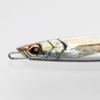 Major Craft Metal Jig Vertical Live Gold Mackerel and Gold Horse Mackerel 150g Lure JPV-150#83 #83