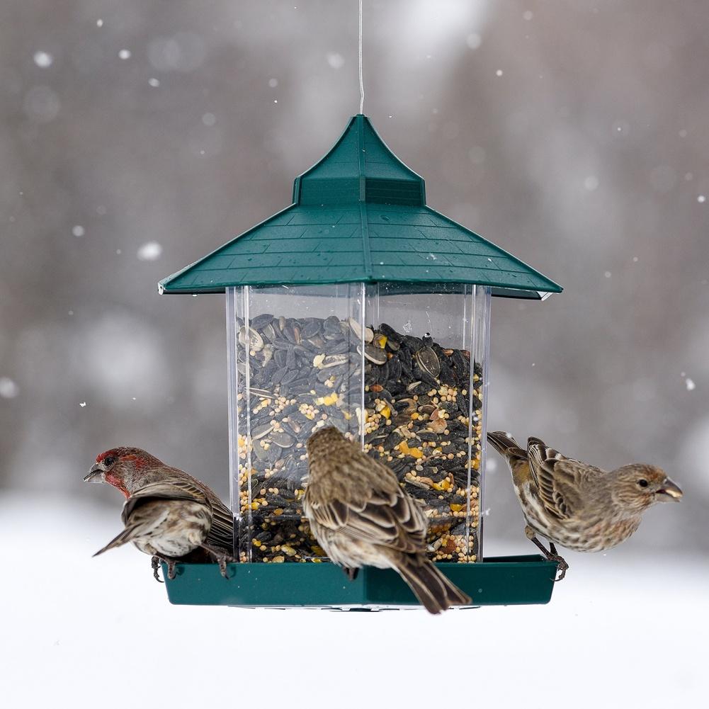 Eichhörnchensichere Vogelhäuschen im Pavillon, sechseckige Form, Futterspender für Wildvögel