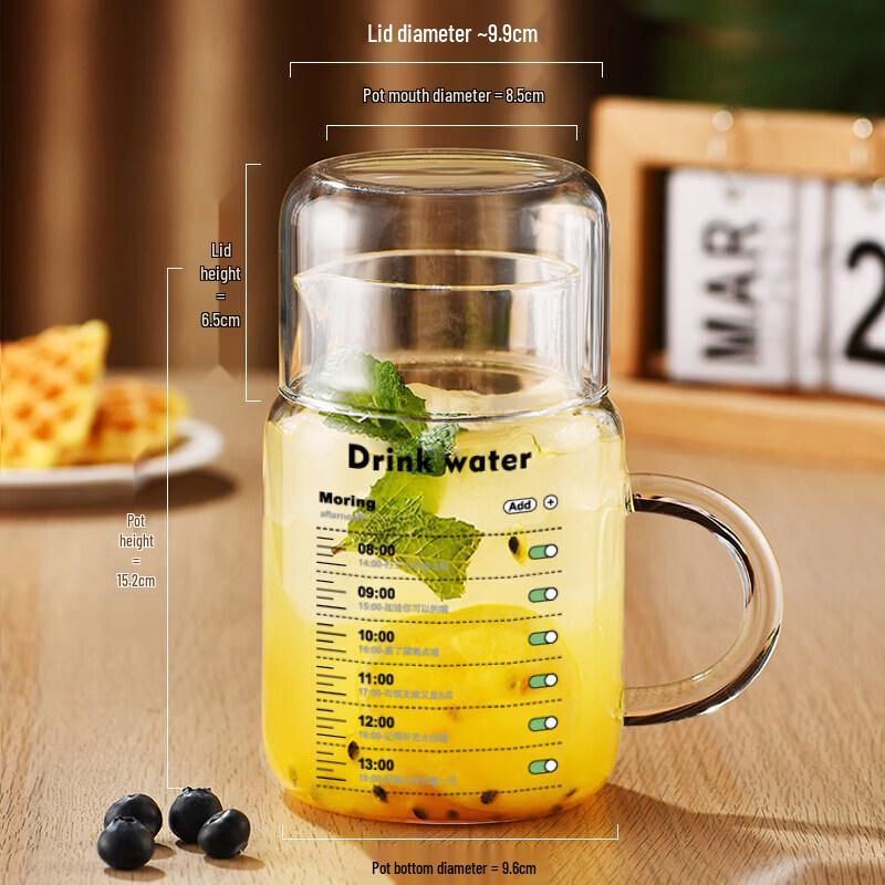 Youluo High Borosilicate Glass Water Bottle with Straw & Scale