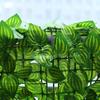 Cross-Border Green Leaf Plastic Fence: Simulated Plant Wall for Courtyard or Balcony Decoration
