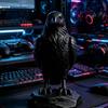 Desk Decoration Gothic Style Crow Statue Crafts 3D Printed Home Decoration Crow Ornaments Raven Prop Simulation Crow Model Farm