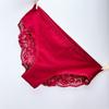 Elegant European & American Lace Panties: 40s Style, Semi-Transparent Mesh with Pure Cotton Crotch
