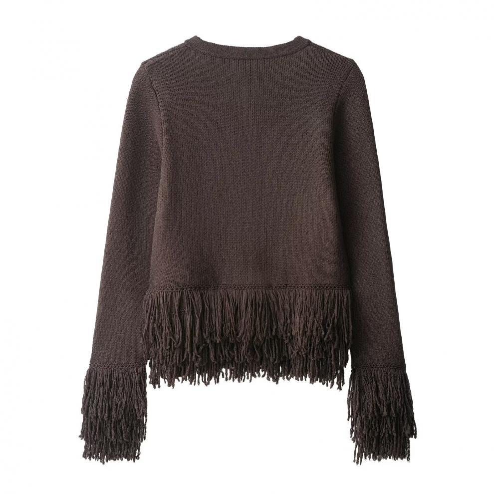 European and American Style, New Women's Clothing, Fashionable, Versatile, Cross-border Fashionable Fringed Button-knitted Jacket