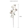 New Naturally Dried Cotton Stems Artificial Flower Filler Floral Decor Artificial Flowers Valentines Day
