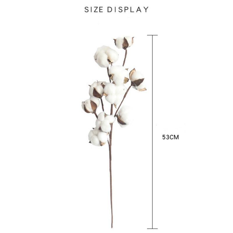 New Naturally Dried Cotton Stems Artificial Flower Filler Floral Decor Artificial Flowers Valentines Day