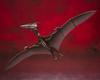 S.H.MonsterArts Rodan (2021) 2nd Form (TAMASHII NATIONS / Articulated Wings & Flock Display Minis)