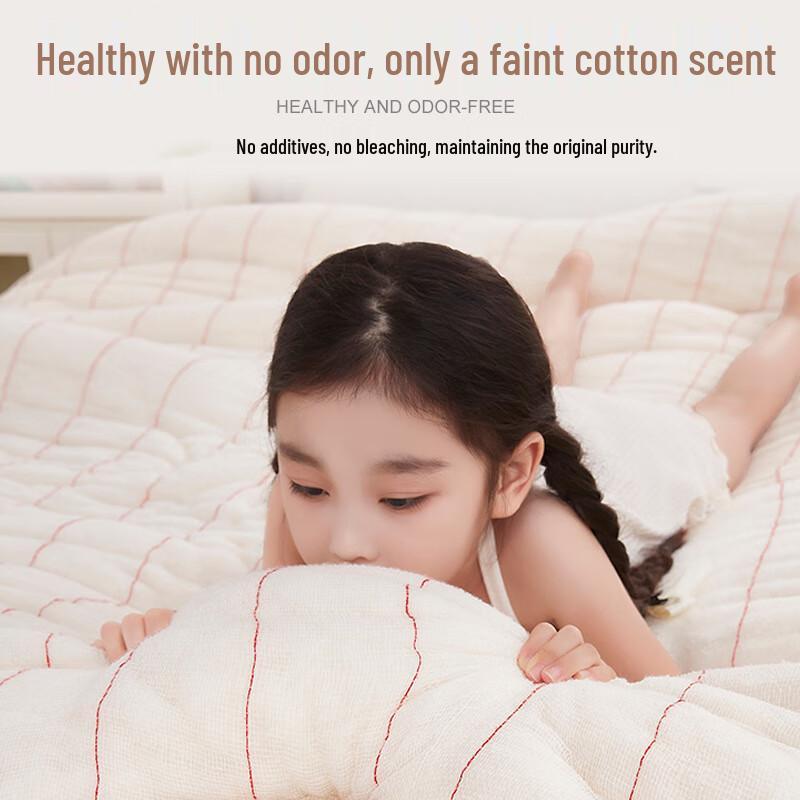 Xinjiang Cotton Winter Quilt