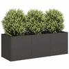 VidaXL Planter Black 120x40x40 Cm Cold-rolled Steel, Flower Pot, Plant Stand, Raised Bed, Support of 860675
