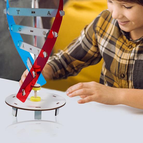 1 set Interesant Stimulează imaginația Îmbunătățește concentrarea Structură inovatoare cu dublu helix Modele ADN Jucării pentru copii Echipament de experiment