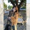 Premium Environmentally Friendly Fox Fur Short Coat Fur Winter New Thickened Brown Fur Coat