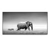 Buddha Zen Modern Black and White Elephant Pictures Canvas Painting Prints and Posters Living Room Office Wall Art Home Decor No Frame