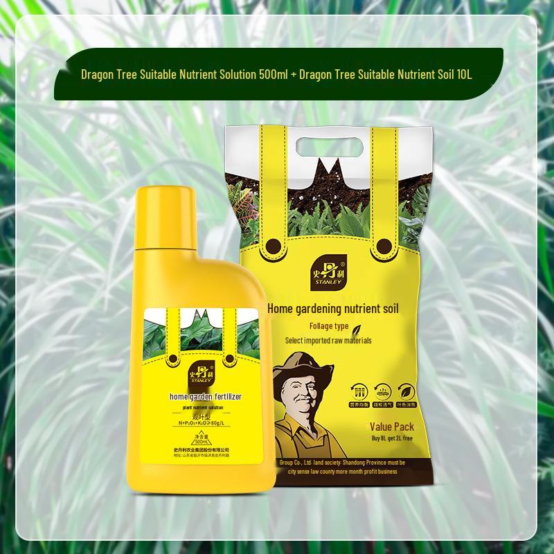 Stanley Dragon Tree Care: Nutrient Solution & General-Purpose Fertilizer for Healthy Green Plants