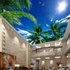 Blue Sky Ceiling Wallpaper White Clouds Coconut Trees Seagull Mural Bedroom Living Room Ceiling Wallpaper