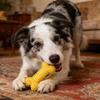 1PC Dog Chew Toys Bone Shaped Dog Chew Toys Teeth Cleaning Chew Toys Dog Rubber Toothbrush Stick Chew Toys For Training Toys