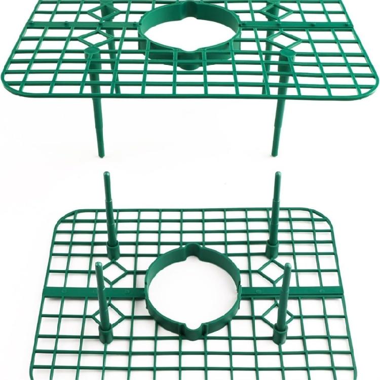 10Pcs Strawberry Growing Racks Support Stand Protector Strawberry Growing Frame
