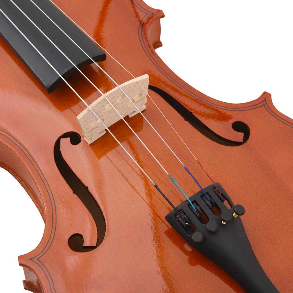 Violin Complete Set with Bow and Chin Rest Dark Wood Size 4 4