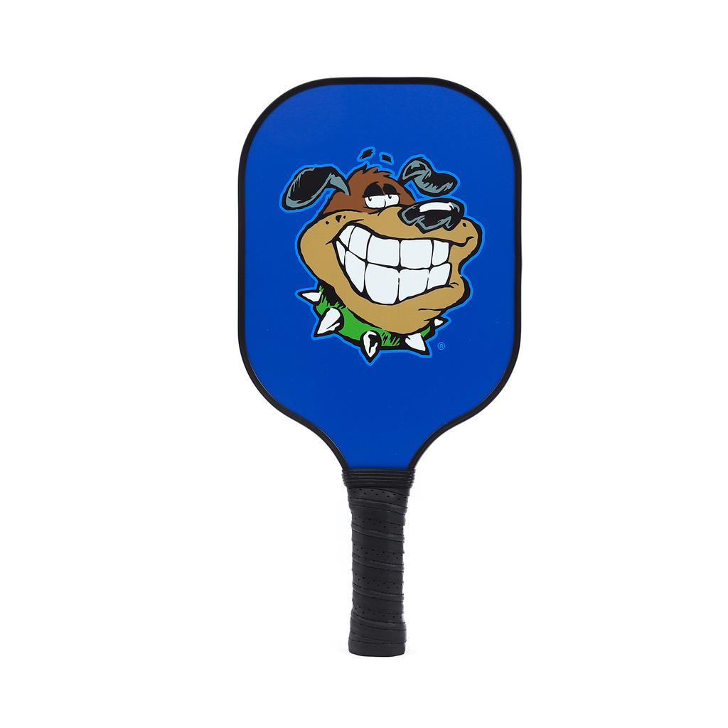 Pickleball-Shot Cartoon Animal Beach Rackets Outdoor Sports 40-Hole Pickleball Glass Fiber Suction Ball Set