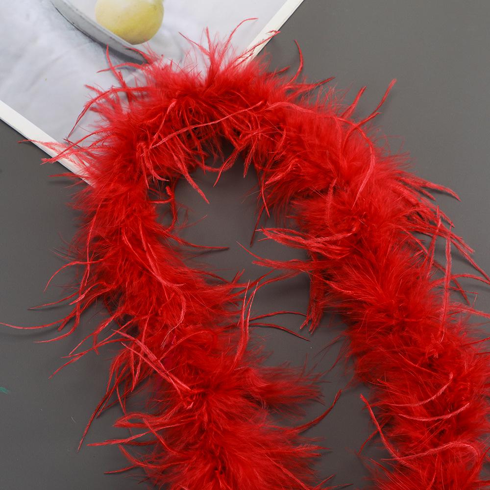 Strisce di Piume di Struzzo Colorate per Costumi da Ballo Fai-da-Te e Accessori