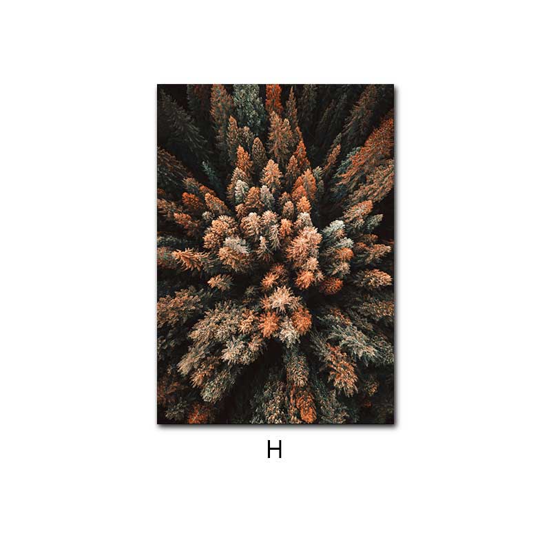 

Природный пейзаж, холст, живопись, путешествия, фотография, холст, искусство, скандинавский плакат с принтом, лесной осенний пейзаж, украшение стены, картина 21x30cm No Framed