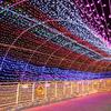 Outdoor Decorative LED String Lights