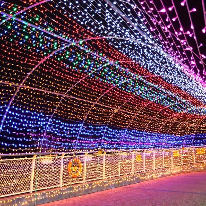 Outdoor Decorative LED String Lights