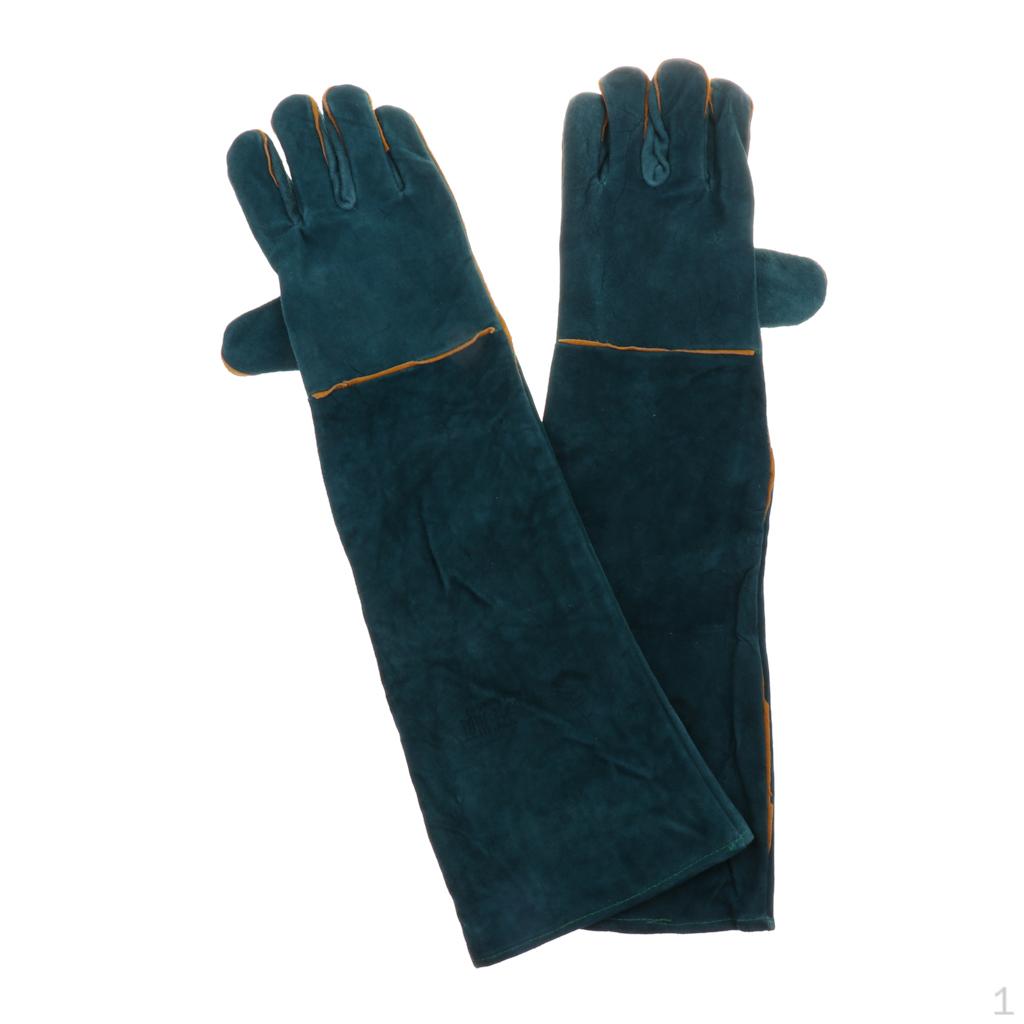 

Scratch Gloves For Snake Animal Handling