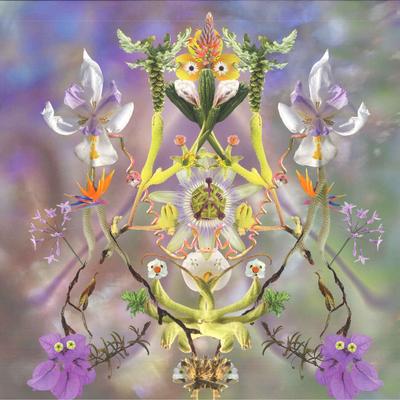 LP Schallplatte MAIBAUM - Sumer Is Icumen In NLR033 Nonlocal Resear 2024 Chile Dance & Electronica