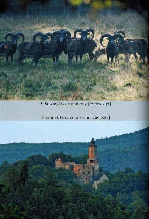 Góry Sowie. Przewodnik. Wyd. 2024. Rewasz