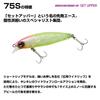 Daiwa Shoreline Shiner Z Set Upper 75S Laser Sardine Lure